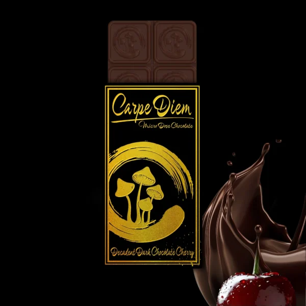 Carpe Diem Mushroom Chocolate Dark Chocolate Cherry